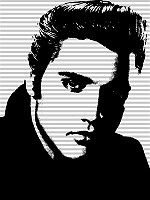 Elvis 1