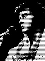 Elvis 13