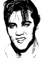 Elvis 8